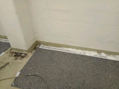 Nach Abdichtung behandelte Ecke: hellgraue Sockelleiste mit frischer Weißschaumraupe in der Boden-Wand-Fuge, davor liegt ein grauer Teppichschutz; Wandflächen sauber und trocken.